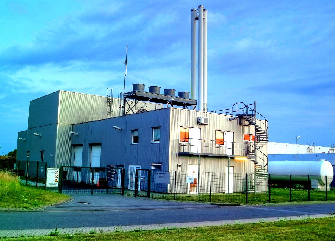 Biomasa